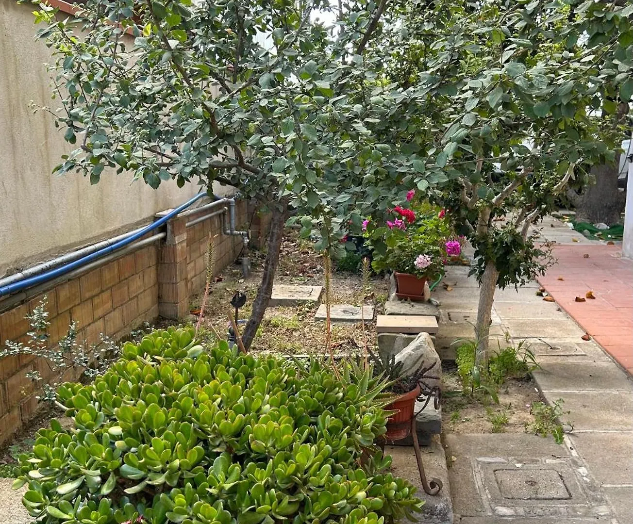 Apartment Appartamento Mansamare Grosseto Italy