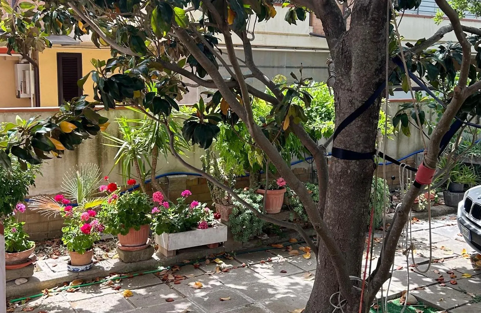 Apartment Appartamento Mansamare Grosseto